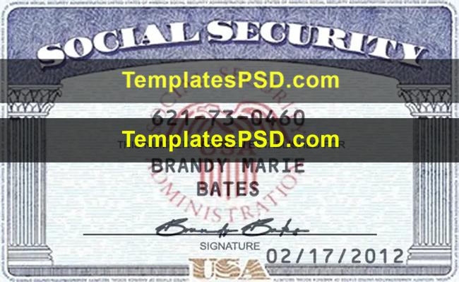 Social Security Card Template PSD Front